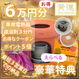 ファンジン黄土よもぎ蒸しセット(自宅用業務用)